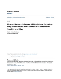 Minimum Number of Individuals: a Methodological Comparison Using Human Remains from Caves Branch Rockshelter in the Cayo District of Belize