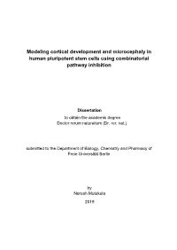 Modeling Cortical Development and Microcephaly in Human Pluripotent Stem Cells Using Combinatorial Pathway Inhibition