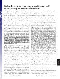 Molecular Evidence for Deep Evolutionary Roots of Bilaterality in Animal Development