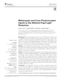 Melanopsin and Cone Photoreceptor Inputs to the Afferent Pupil Light Response