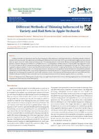 Different Methods of Thinning Influenced by Variety and Hail Nets in Apple Orchards