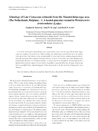 Ichnology of Late Cretaceous Echinoids from the Maastrichtian Type Area (The Netherlands, Belgium) - 1