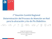 Presentación Comite UPDMII
