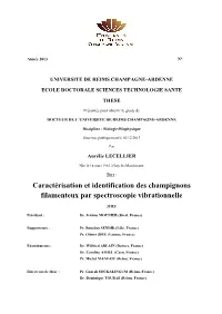 Caractérisation Et Identification Des Champignons Filamenteux Par Spectroscopie Vibrationnelle