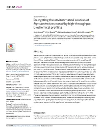 Decrypting the Environmental Sources of Mycobacterium Canettii by High-Throughput Biochemical Profiling