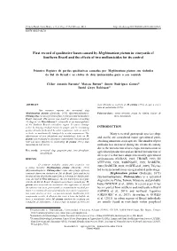 First Record of Qualitative Losses Caused by Meghimatium Pictum in Vineyards of Southern Brazil and the Effects of Two Molluscicides for Its Control