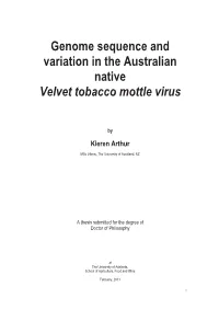 Genome Sequence and Variation in the Australian Native Velvet Tobacco Mottle Virus