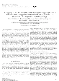 Phylogeny of the Arachnid Order Opiliones (Arthropoda) Inferred
