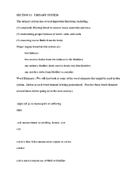 Section 13 Urinary System