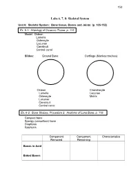 Labs 6, 7, 8: Skeletal System