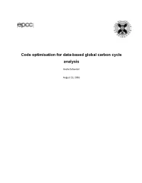 Code Optimisation for Data-Based Global Carbon Cycle Analysis