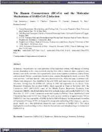 (Hcovs) and the Molecular Mechanisms of SARS-Cov-2 Infection