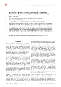 Rhamnaceae) Using Scanning Electron Microscopy Jürgen Kellermanna,B