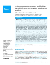 Avian Community Structure and Habitat Use of Polylepis Forests Along an Elevation Gradient