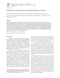 Detection and Characterization of Wolbachia Infection in Silkworm