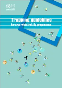 Trapping Guidelines for Area-Wide Fruit Fly Programmes