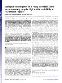 Ecological Convergence in a Rocky Intertidal Shore Metacommunity Despite High Spatial Variability in Recruitment Regimes