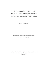 Genetic Engineering of Green Microalgae for the Production of Biofuel and High Value Products