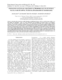 Ontogeny of Gonad and Genital Morphology in Juvenile Alligator Snapping Turtles (Macrochelys Temminckii)