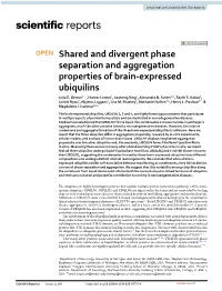 Shared and Divergent Phase Separation and Aggregation Properties of Brain‑Expressed Ubiquilins Julia E