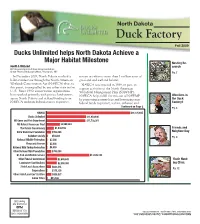 Duck Factory