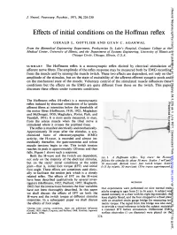 Effects of Initial Conditions on the Hoffman Reflex