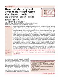Theoretical Morphology and Development of Flight Feather Vane Asymmetry with Experimental Tests in Parrots TERESA J
