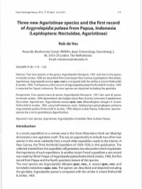 3. Rob De Vos. Three New Agaristinae Species and the First Record of Argyrolepidia Palaea From