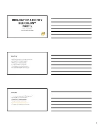 BIOLOGY of a HONEY BEE COLONY PART 2 Advanced Level Training Texas Master Beekeeper Program