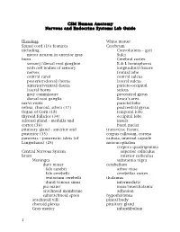 Nervous and Endocrine Systems Lab Guide