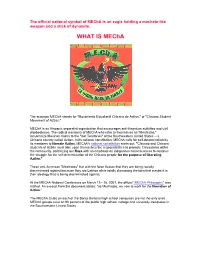 WHAT IS Mecha