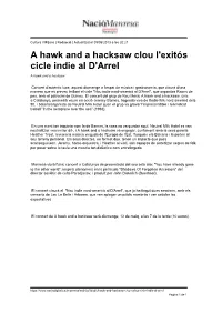 A Hawk and a Hacksaw Clou L'exitós Cicle Indie Al D'arrel