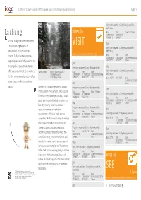 Lachung Travel Guide - Page 1