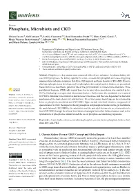 Phosphate, Microbiota and CKD