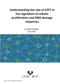 Understanding the Role of E2F7 in the Regulation of Cellular Proliferation and DNA Damage Responses