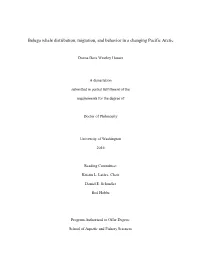 Beluga Whale Distribution, Migration, and Behavior in a Changing Pacific Arctic