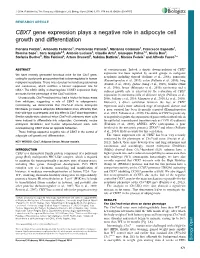 CBX7 Gene Expression Plays a Negative Role in Adipocyte Cell Growth and Differentiation