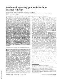 Accelerated Regulatory Gene Evolution in an Adaptive Radiation