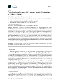 Exploitation of Aspergillus Terreus for the Production of Natural Statins