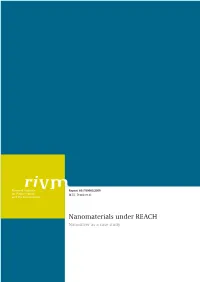RIVM Report 601780003 Nanomaterials Under REACH