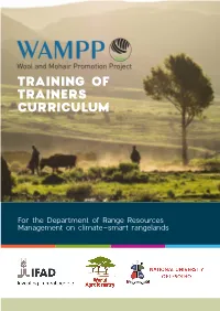 Training of Trainers Curriculum