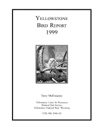 Bird Report 1999