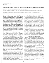Junction Ribonuclease: an Activity in Okazaki Fragment Processing