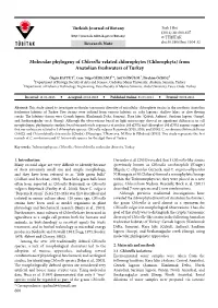 Molecular Phylogeny of Chlorella-Related Chlorophytes (Chlorophyta) from Anatolian Freshwaters of Turkey