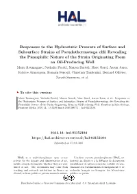 Responses to the Hydrostatic Pressure of Surface