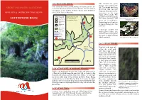 Southstone Rock Traie Guide AMHG Website