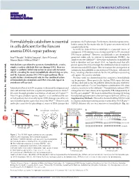 Formaldehyde Catabolism Is Essential in Cells Deficient for the Fanconi