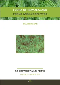 Flora of New Zealand Ferns and Lycophytes