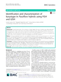 Identification and Characterization of Karyotype in Passiflora Hybrids Using FISH and GISH