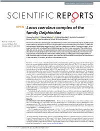 Locus Coeruleus Complex of the Family Delphinidae